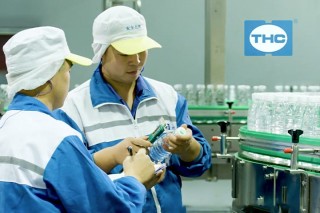 professional-team professional-team